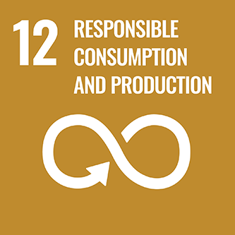 12．Responsible consumption and production