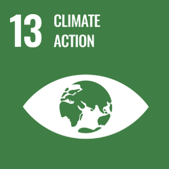 13．Climate action