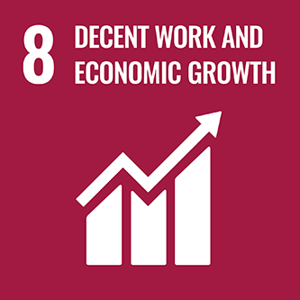 8．Decent work and economic growth